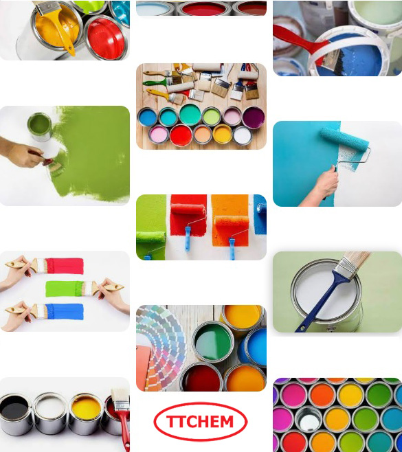 Ttchem-giai-phap-tin-cay-cho-doanh-nghiep-nghanh-son-va-vat-lieu-phu